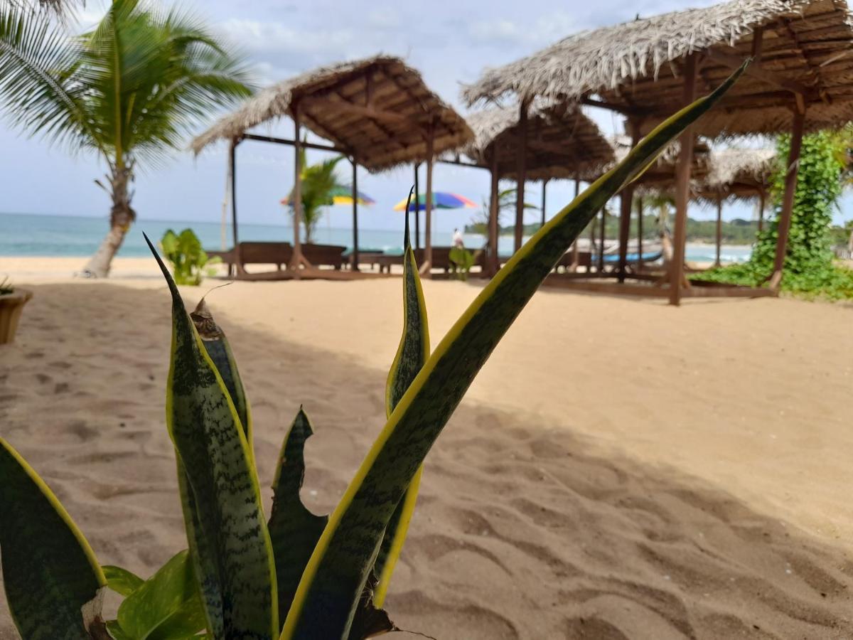 Golden Beach Chalets Arugam Bay Exterior photo